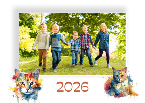 A3Q_planovaci_kocky_barevne