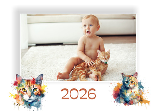 A4Q_planovaci_kocky_barevne